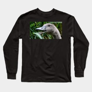 Honk Long Sleeve T-Shirt